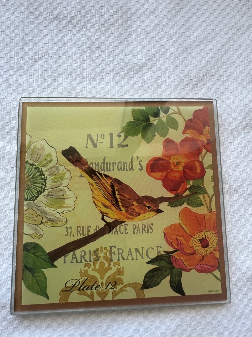 Set of 4 French themed glass bird coasters from Pier 1. - Picture 4 of 8